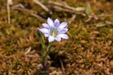 IMGP0811