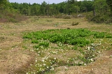 IMGP0819