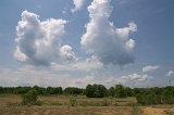 IMGP0837