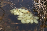 IMGP0841