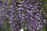 IMGP0846