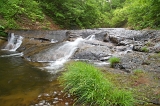 IMGP0854