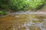 IMGP0855