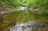 IMGP0858