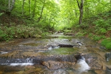IMGP0863