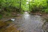 IMGP0872