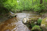 IMGP0873