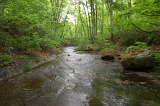 IMGP0874