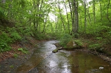 IMGP0876