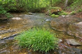 IMGP0884