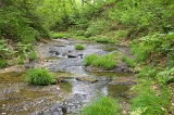 IMGP0902