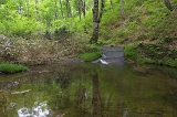IMGP0938