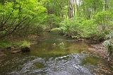 IMGP0942