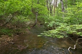IMGP0943