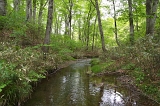 IMGP0953