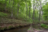 IMGP0957