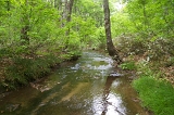 IMGP0962
