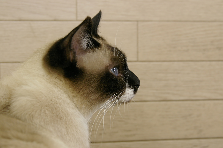 IMGP1116.jpg