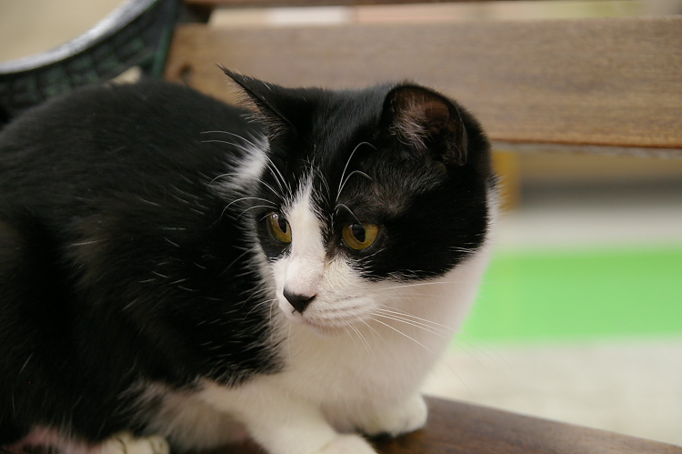 IMGP1131.jpg