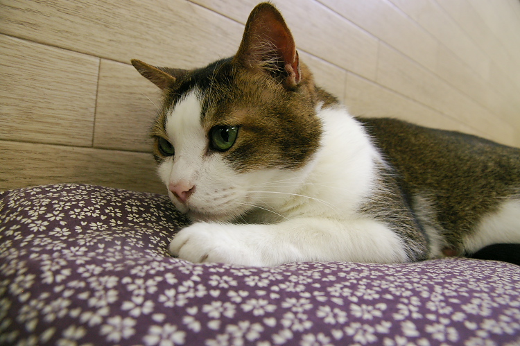 IMGP1144.jpg