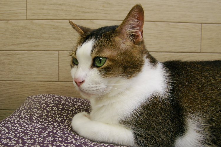 IMGP1147.jpg