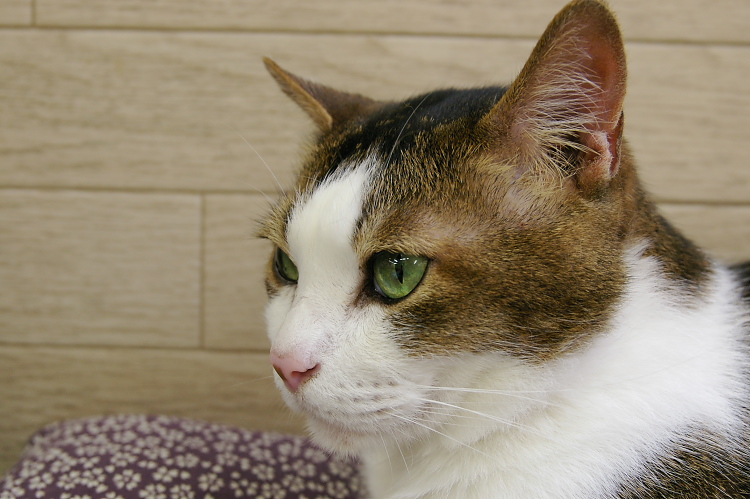 IMGP1148.jpg