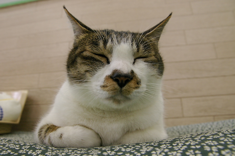 IMGP1187.jpg