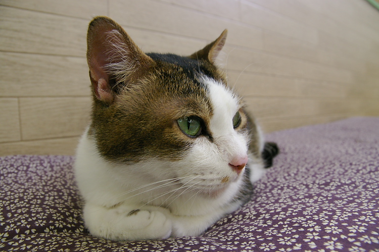 IMGP1204.jpg