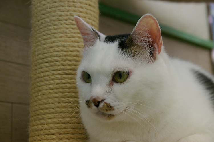 IMGP1223.jpg