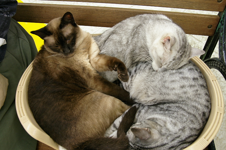 IMGP1235.jpg