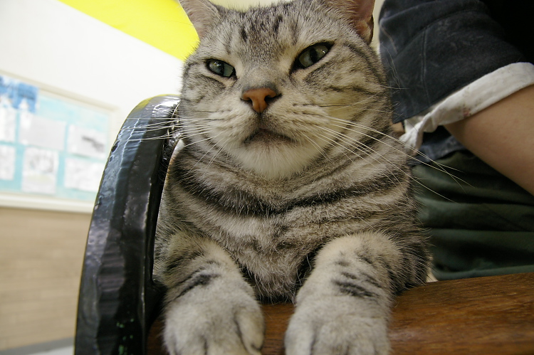 IMGP1237.jpg
