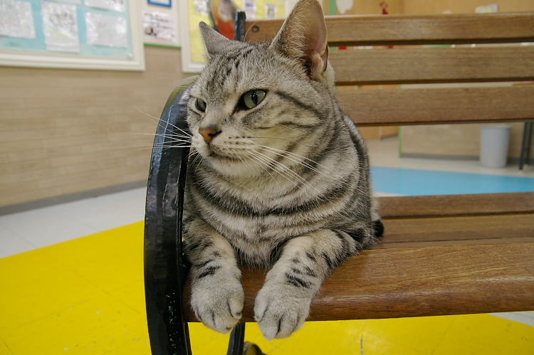 IMGP1256.jpg