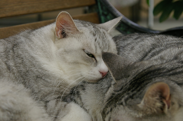 IMGP1265.jpg