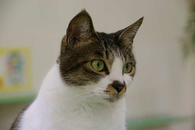 IMGP1448.jpg