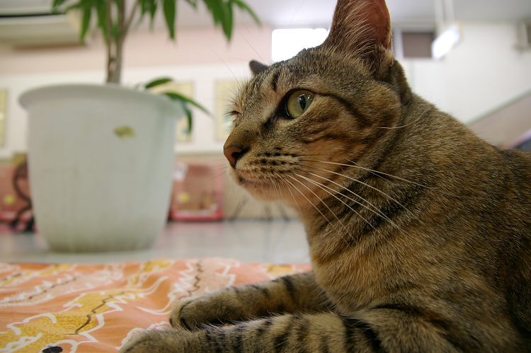 IMGP1456.jpg