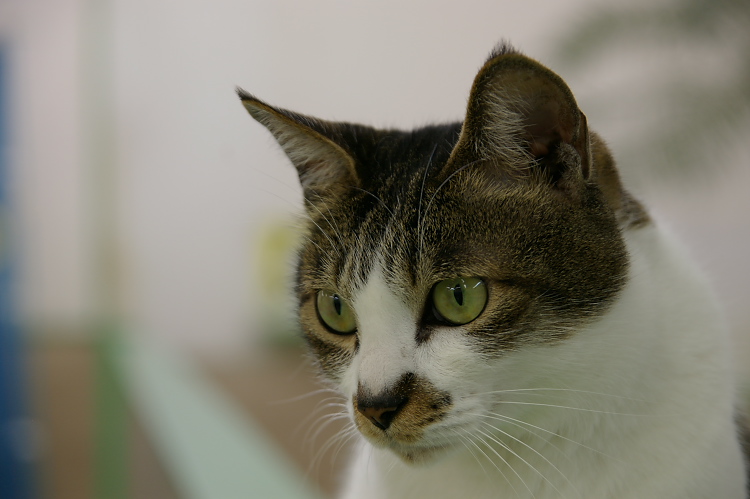 IMGP1458.jpg