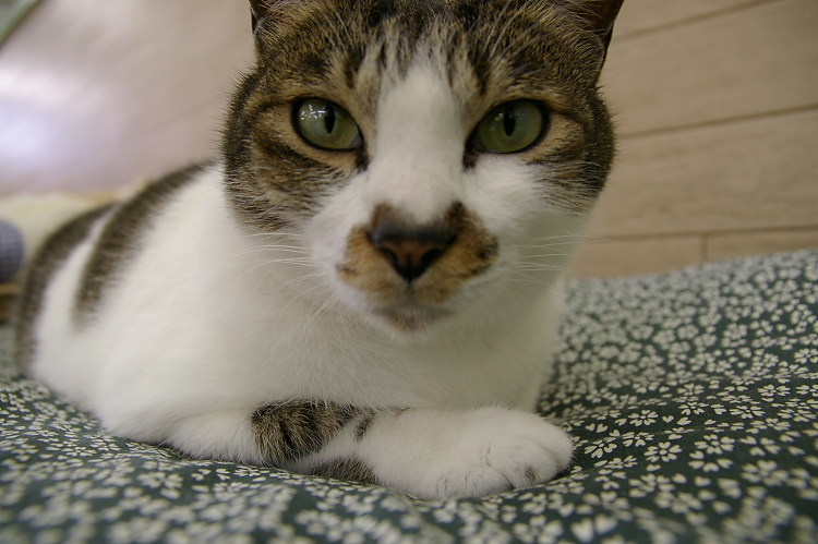 IMGP1487.jpg