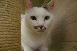 IMGP1196