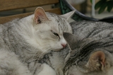 IMGP1265