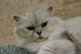 IMGP1384
