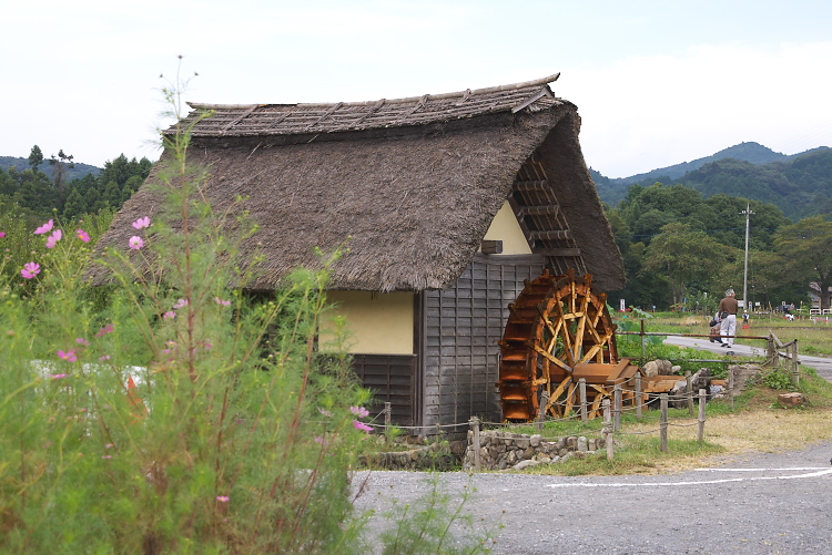 IMGP1687.jpg