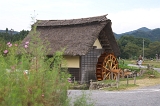 IMGP1687
