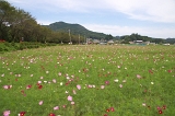IMGP1703