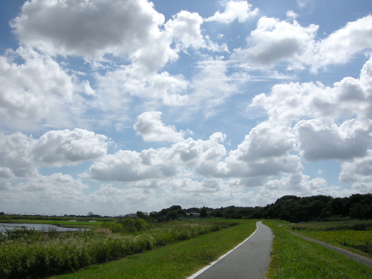 DSCN0927.jpg