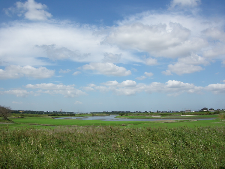DSCN0928.jpg