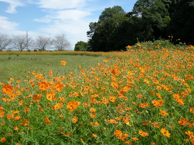 DSCN0934.jpg