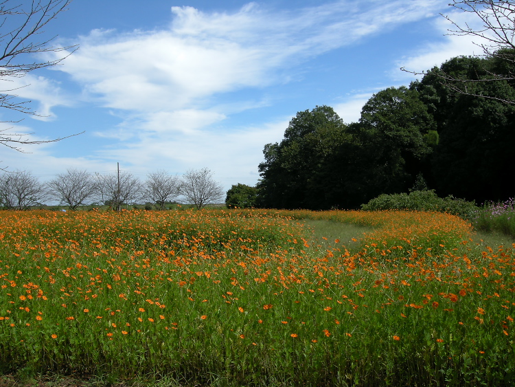 DSCN0949.jpg