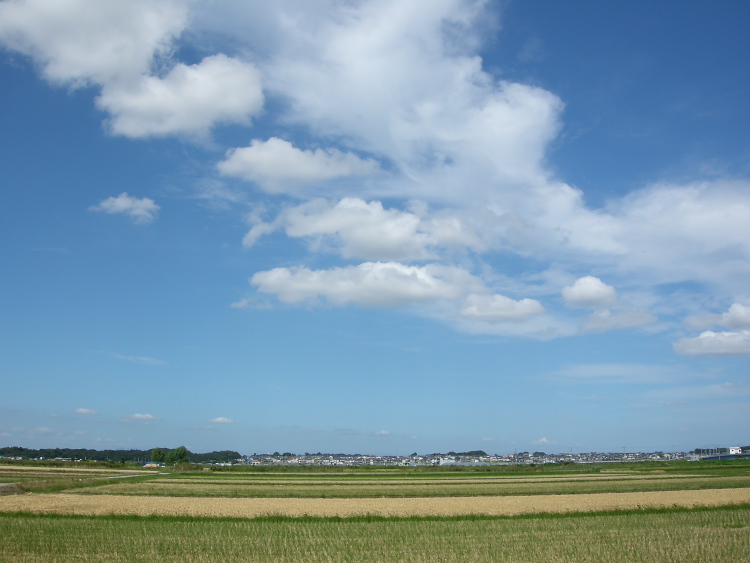 DSCN0971.jpg