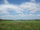 DSCN0928