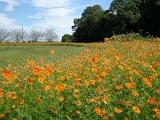 DSCN0934